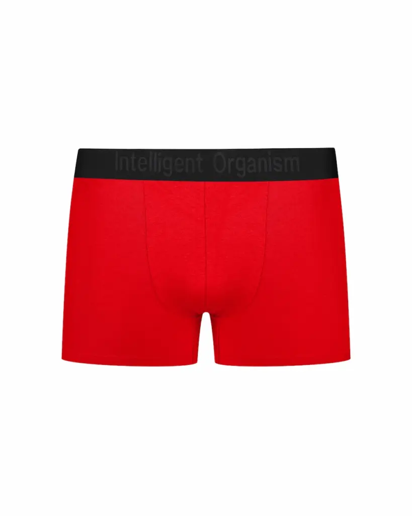 Чоловічі червоні боксери з бавовни - вид спереду - Intelligent Organism