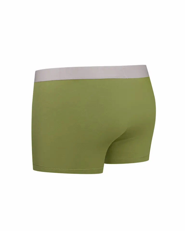 Чоловічі зелені боксери з бавовни - вид ззаду Intelligent Organism