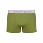 Чоловічі зелені боксери з бавовни