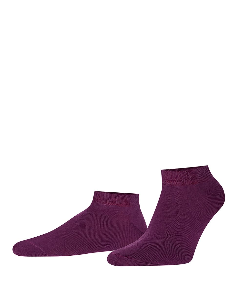 Produktbild Шкарпетки Колекція Paint Sport бавовняні, сливові